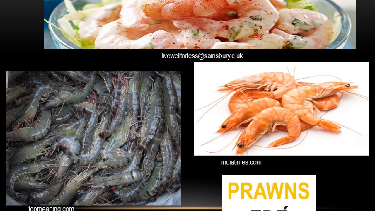 Yorùbá Sea animals' names in Yorùbá language YouTube