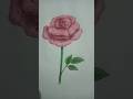 Beautiful rose drawing #easy drawing of a beautiful rose