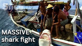 Fishing for shark fins: battle against a tiger shark | SLICE