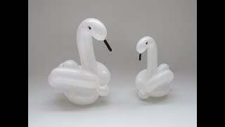 BalloonTube with Graham Lee - Video 15 -  Swan