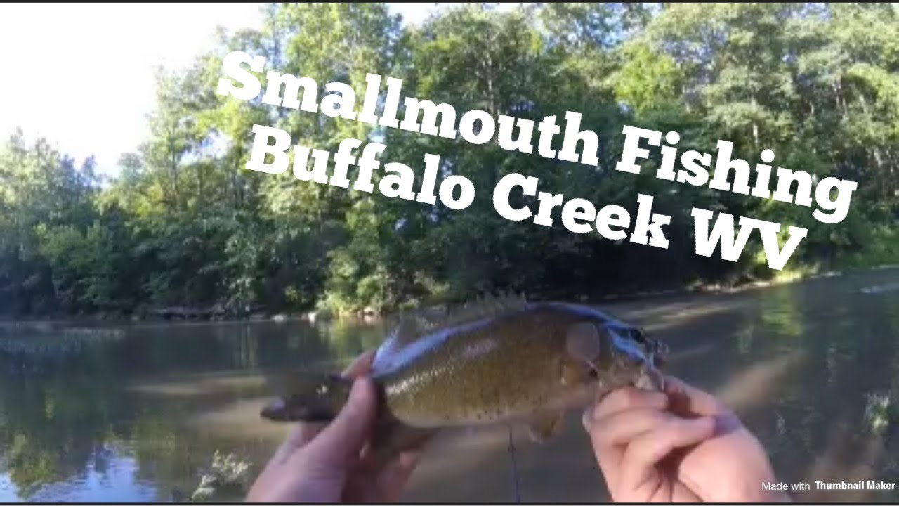 Smallmouth Fishing Buffalo Creek West Virginia Multi Species Fishing