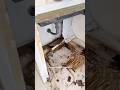 Yuk temenin aku ganti kabinet gegara sink rembes😭