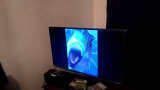 Tyrannosaurus Rex Effects Sounds 📢 (Talking Angela)