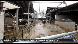 Fondi per l’agricoltura, aiuto a giovani imprenditori