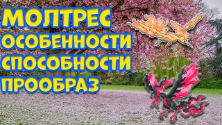 МОЛТРЕС - ОСОБЕННОСТИ, СПОСОБНОСТИ, ПРООБРАЗ