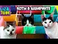Лабиринт #1 для кошек 😺 Три кота проходят лабиринт 😂 \ LizaTube