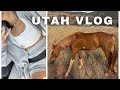 TRAVEL VLOG: visiting my family in utah, cute coffee shops, finding vegan food, art museums, hiking