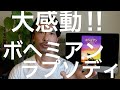 大感動‼︎「ボヘミアン・ラプソディ」観て来た! oisigariya Vlog #40