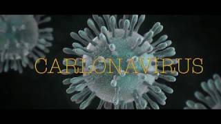carlonavirus - carlolitto