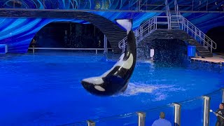 One Song | Orca Encounter | SeaWorld Orlando | January 1, 2023