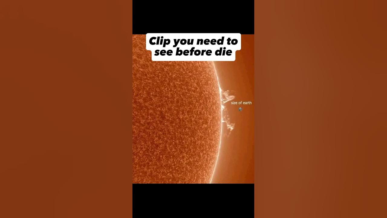 clips you need to see before die(thks for 1k sb) fact shorts YouTube clips you need to see before die(thks for 1k sb) fact shorts YouTube