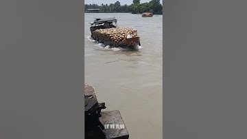 #shorts ghe dừa vượt cống