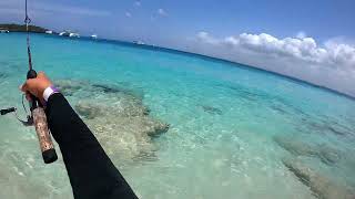 Fishing in Catalina Island in DOMINICAN REPUBLIC with SMALL JIGS