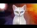 Birth to Death | Diamond Eye Cat | The Sims 4