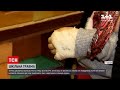 В Одеській області шестикласницю із поламаною рукою залишили без допомоги | ТСН 19:30