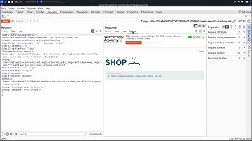 Evaluating inputs with Burp Suite