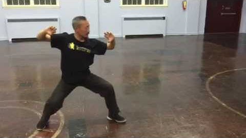 2nd Form (incomplete) Da Cheng Dao Kung Fu as demonstrated by Master Wang Rengang