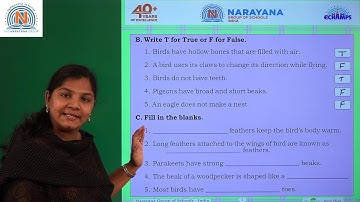 17TH NOV AP & TS CLASS III SCIENCE AMAZING ASSIGNMENT KEY