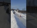 Зимние забавы🤣🤣🤣