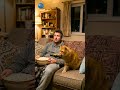 Funny Cats
