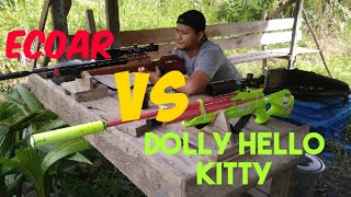 Ecoar tak terima dengan kekalhan yang kemaren kembali lagi menantang sniper gudiek