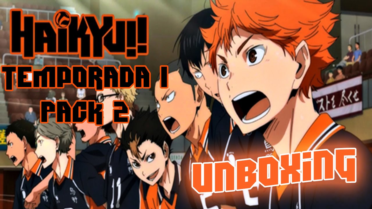 HAIKYUU!! TEMPORADA undefined - Selecta Visión