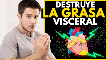 ¿Qué alimentos eliminan la grasa visceral?