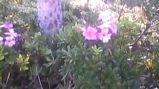 Capture 20151229 2