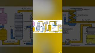 Processo Haber-Bosch