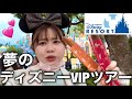 【夢が叶う日】初めてのディズニーランドVIPツアーが本当にやばすぎて大感動