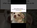 mare #funny #memesguru2 #memegenerator #memes