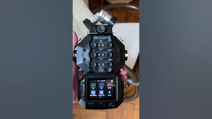 Do They Have Good Displays? Zoom H5 vs H8