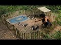 Rescue Baby Duck To Build Mini Swimming Pool And Bamboo House For Duck