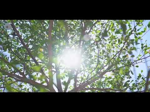 PELUK HINGGA TENANG (Sandi Perdana) cover by Enry Okta