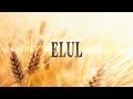 Elul and the 40 Days of Teshuvah: The King is in The Field