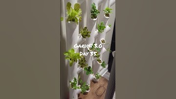 Gardyn 3.0 Day 35 No AI, DIY device settings