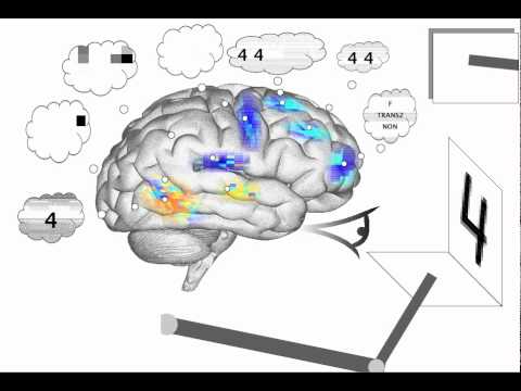 Spaun - Raven's Progressive Matrices neural model