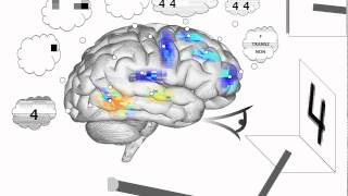 Spaun - Raven's Progressive Matrices neural model