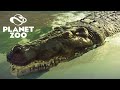 Os CROCODILOS deram CRIA na savana - Planet Zoo
