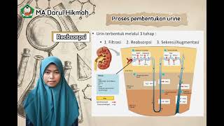 Proses pembentukan urine [Fitrasi, Reabsorpsi, & Augmentasi]