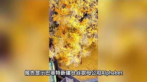 2025年第46周财经要闻分析#投资巨头抛售英伟达#巴菲特卖苹果囤现金#巴菲特首次买入谷歌