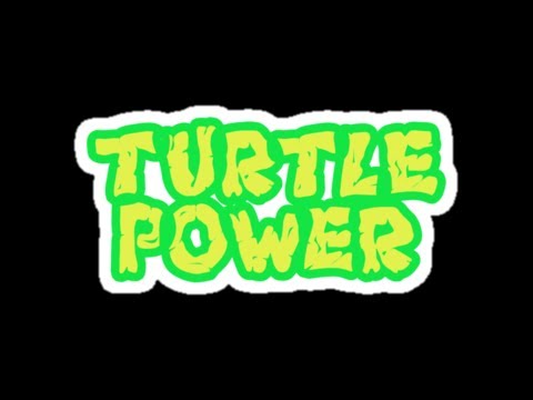 freshwater turtles in florida Turtle Power - CrittaCam