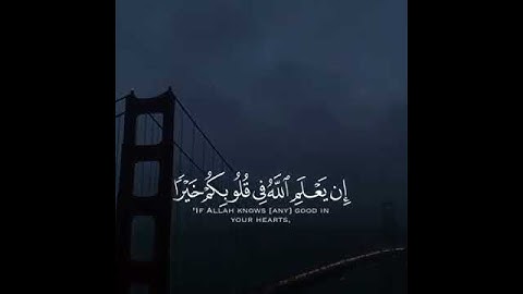 آيات من القرآن الكريم : سورة الأنفال، للقارئ ماهر المعيقلي
