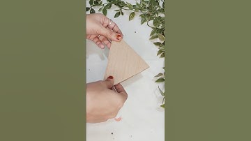 Wall decor idea || waste material idea|| MS creativity