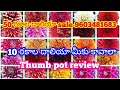 దాలియా 50 రకాల📦🌺🌱మొక్కలు కావాలి అంటే Unboxing review చూసి ఆర్డర్ చేసుకోండి soil mix ఎలా చేసుకోవాలి
