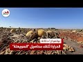 الحرارة والشرقي يتلفان محاصيل السويهلة ببولعوان الحرارة والشرقي يتلفان محاصيل السويهلة ببولعوان