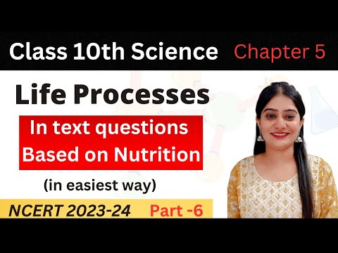 [6] Life Processes Textual Question Answer | Class 10 Science | NCERT ...