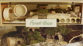 Hamster Cage Set Up | Forest Theme