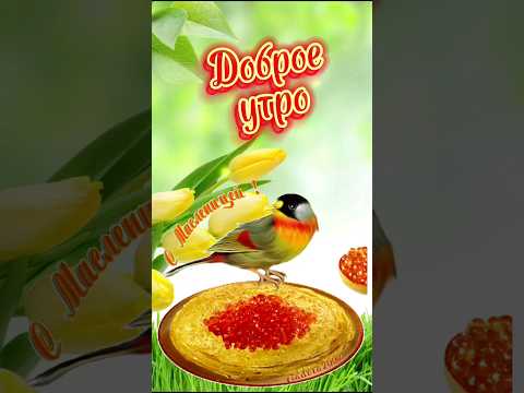 Доброе утро #масленица #добрый #добрыйдень #поздравление #пожелание