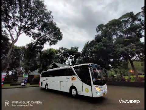 Dambri Pariwisata Bali: Mengurai Pesona dan Tantangan Transportasi Wisata Pulau Dewata